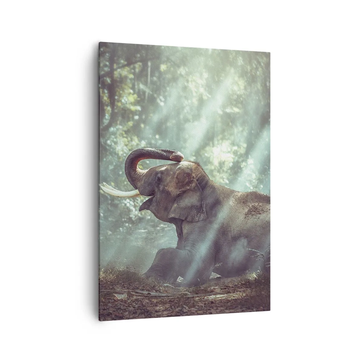 Canvas picture - Listen to This… - 70x100 cm