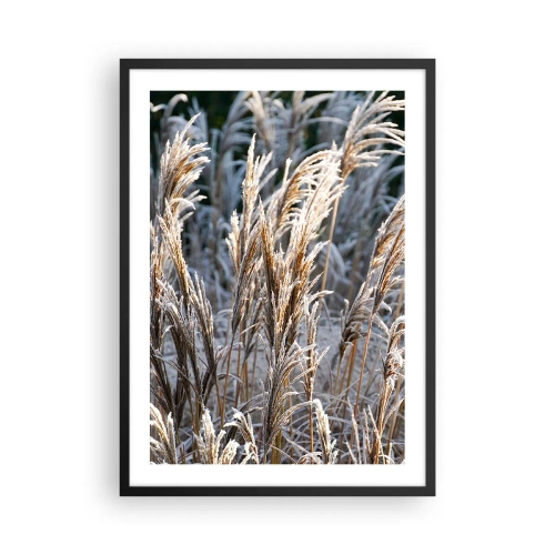 Poster in black frame - Dried grasses covered with frost in a winter landscape - 50x70cm - Decorated with Frost - Modern wall decoration for the living room and bedroom ARTTOR