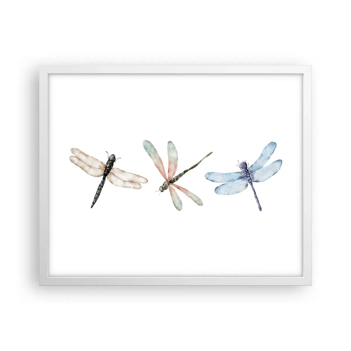 Poster in white frmae - Lightness of Dragonflies - 50x40 cm