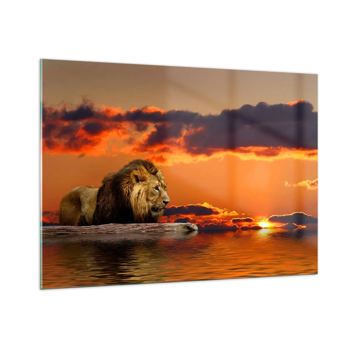 Glass picture - The King of Nature - 100x70 cm