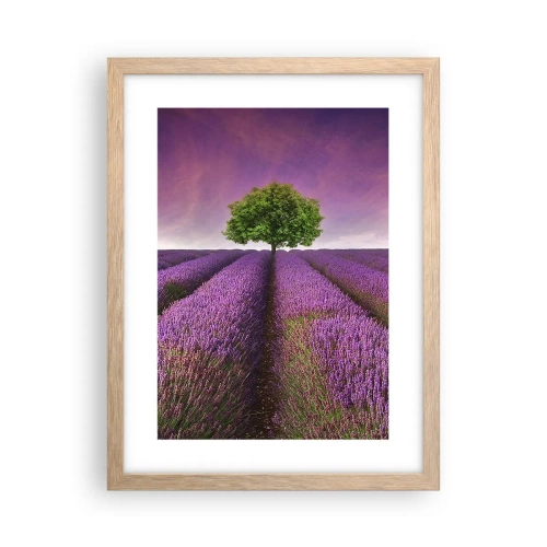 Poster in light oak frame - In the Fields of Lavender - 30x40 cm