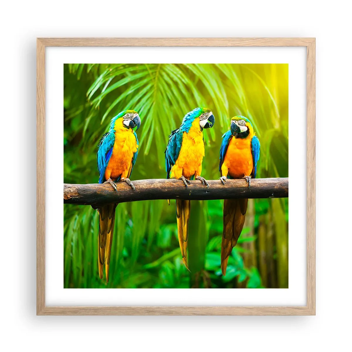 Poster in light oak frame - Did You Hear that She…? - 50x50 cm