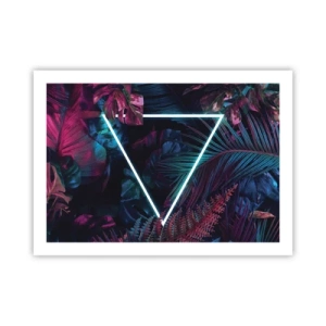 Poster - Disco Style Garden - 70x50 cm