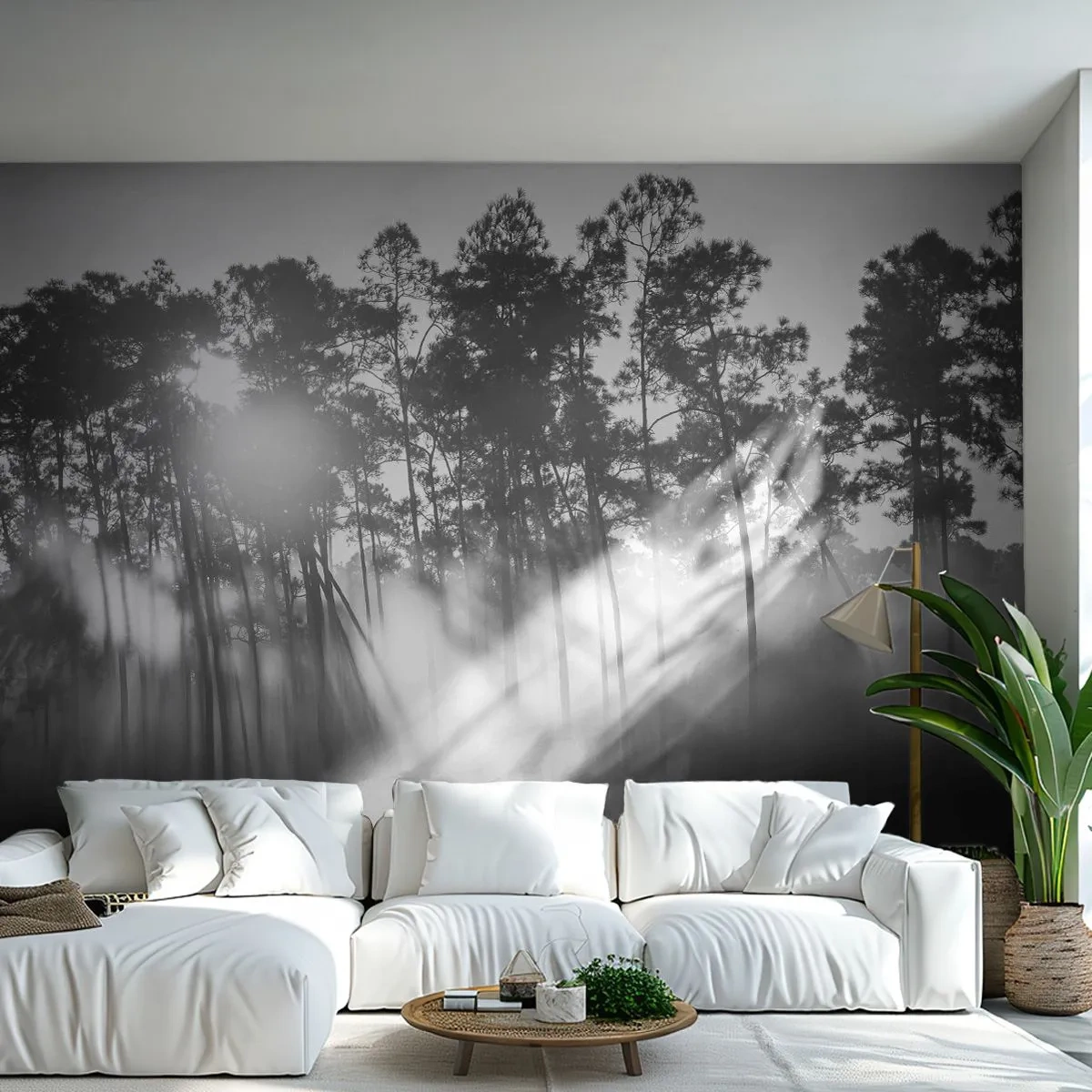 Photo Wallpaper Premium Canvas - Unstoppable Sun - Landscape, Forest, Nature - 450x315 cm