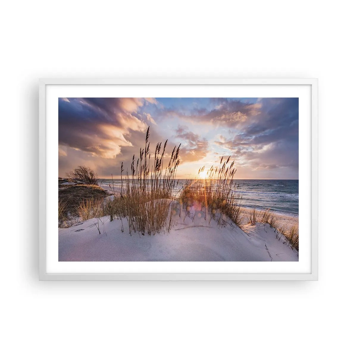 Poster in white frmae - Farewell to the Sun and Wind - 70x50 cm