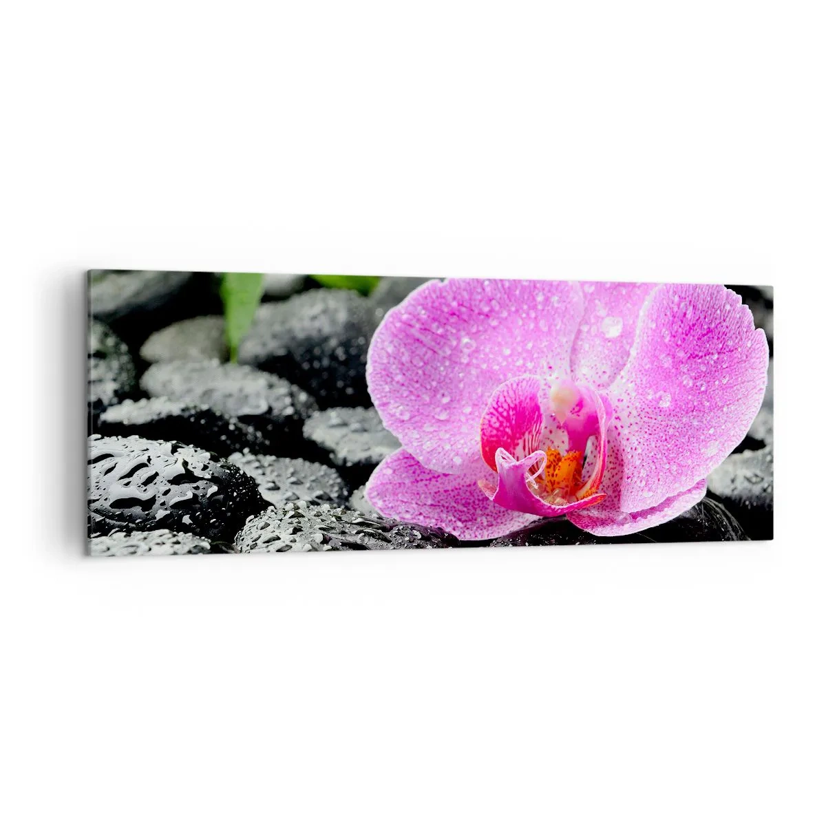 Canvas picture - Like an Open Heart - 140x50 cm