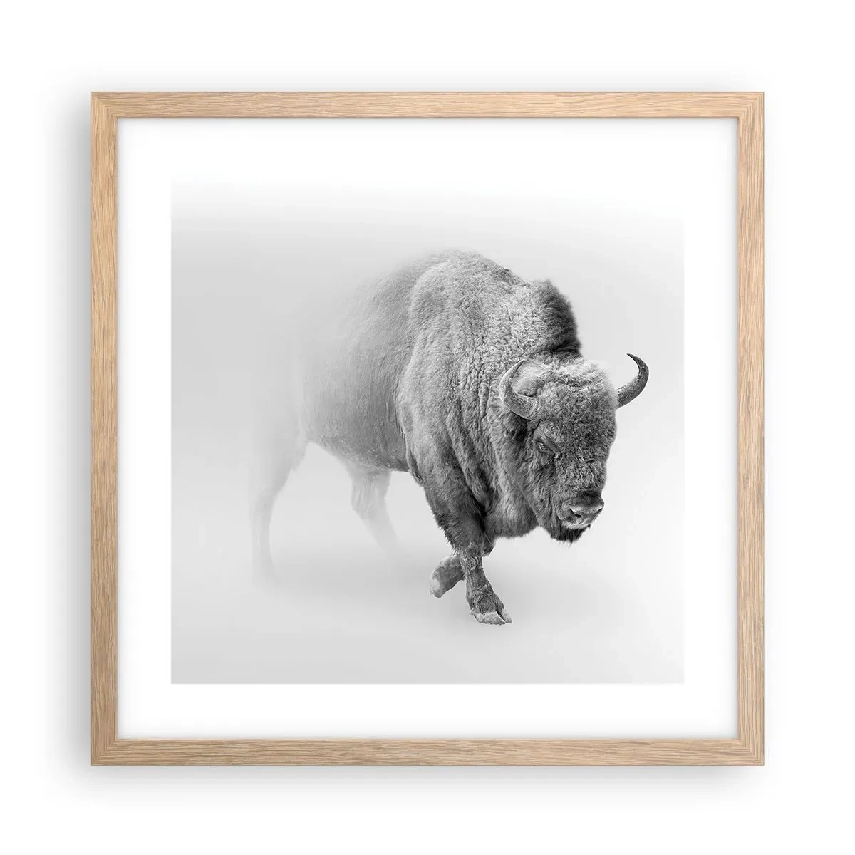 Poster in light oak frame - King of the Prairie - 40x40 cm