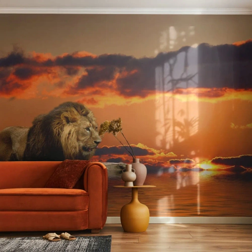 Self-Adhesive Photo Wallpaper Deluxe Sticker - The King of Nature - Lion, Sunset, Animals - 250x175 cm