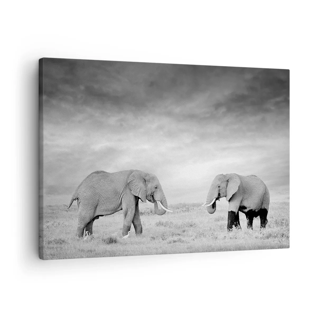 Canvas picture - Two elephants against the backdrop of the African savannah - 70x50cm - Grey Is Beautiful - Modern wall decoration for the living room and bedroom ARTTOR