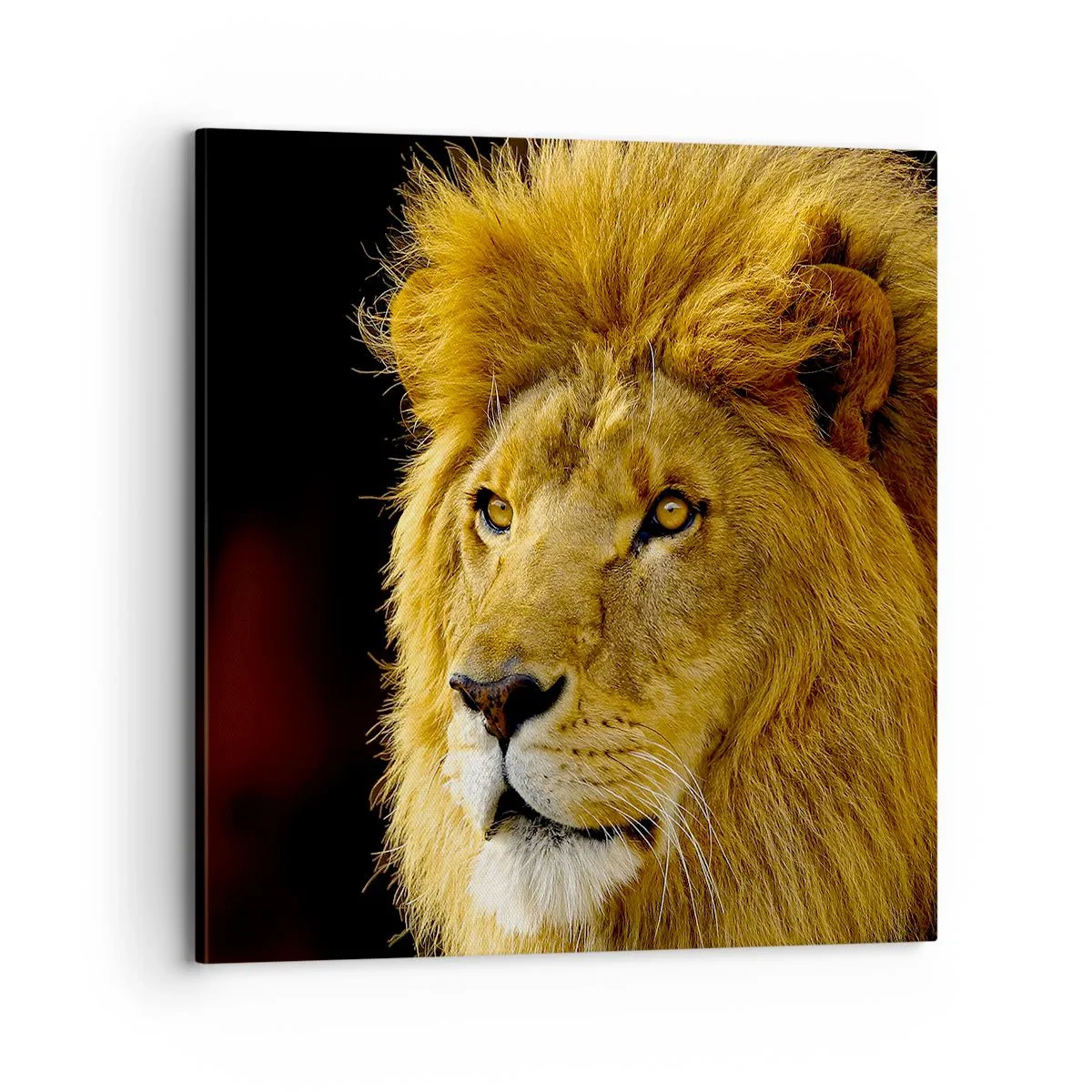 Canvas picture - Portrait of a King - 70x70 cm