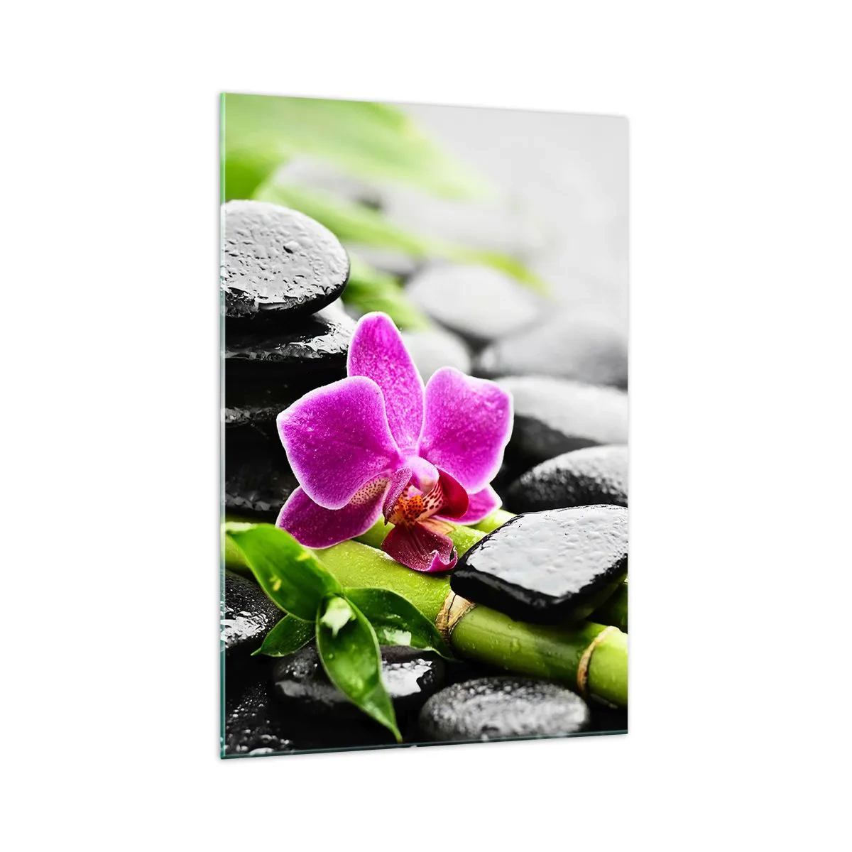 Glass picture - In a Peaceful Balance - 70x100 cm