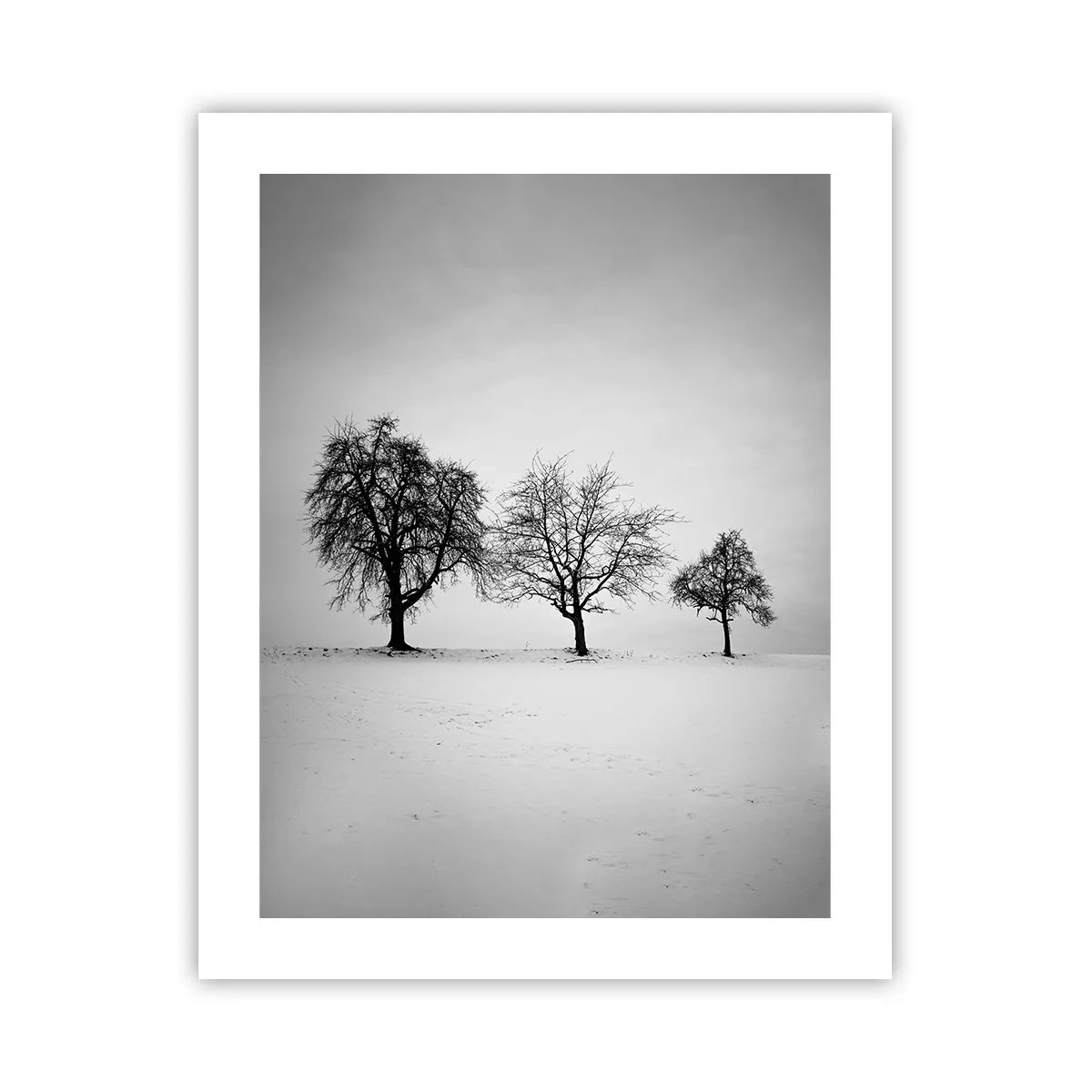 Poster - What Are They Dreaming About? - 40x50 cm