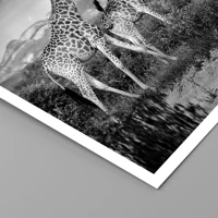 Unframed