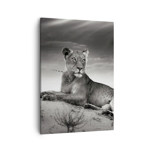 Canvas picture - Queen of Desert Is Resting - 50x70 cm