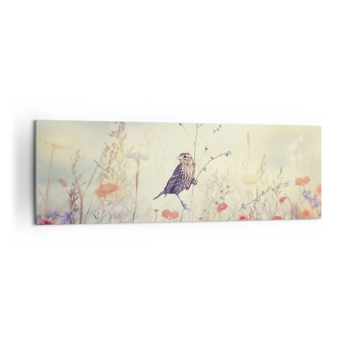 Canvas picture - Bird Portrait with a Meadow in the Background - 160x50 cm