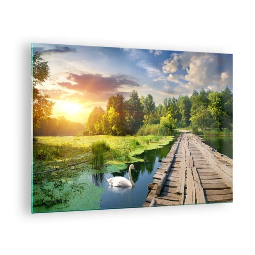 Glass picture - Wooden jetty over a lake with a swan at sunset - 70x50cm - Summer Everywhere - Modern wall decoration for the living room and bedroom ARTTOR