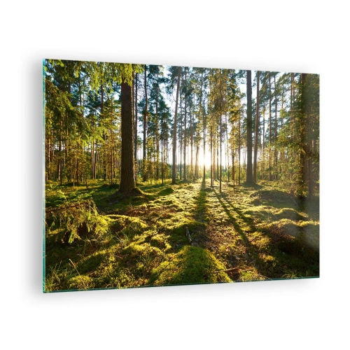 Glass picture - Sun rays penetrating through the trees in the forest - 70x50cm - Deep in the Forest - Modern wall decoration for the living room and bedroom ARTTOR
