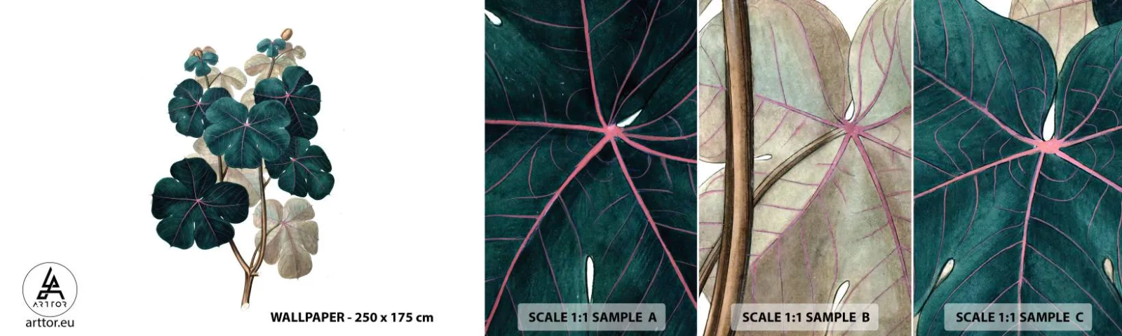 Photo Wallpaper Sample Standard Eco - From the Old Herbarium - Plant, Leaves, Botany - 100x30 cm