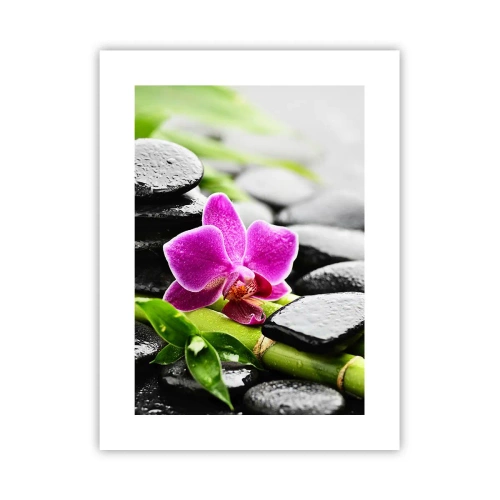 Poster - In a Peaceful Balance - 30x40 cm