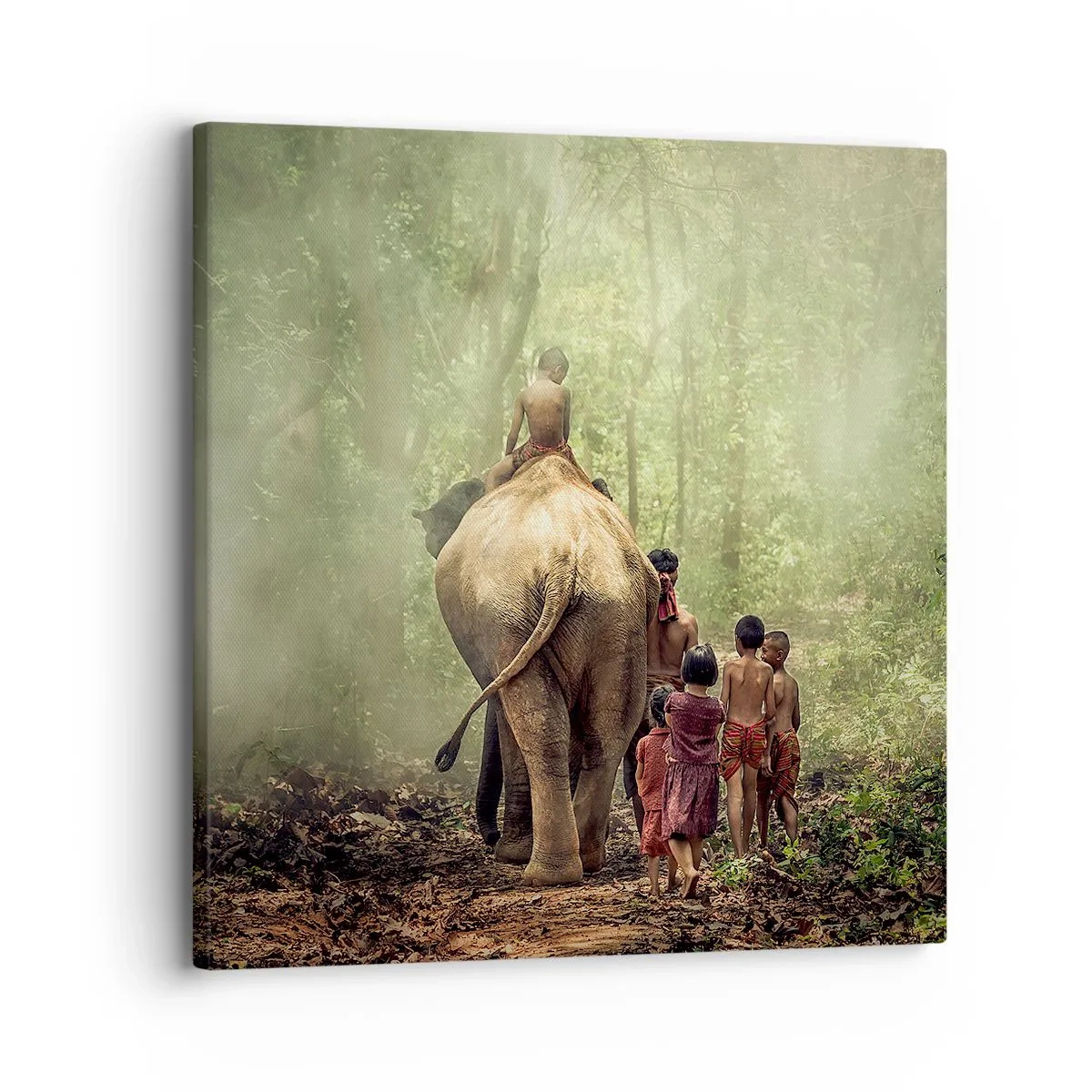 Canvas picture - New Jungle Book - 30x30 cm
