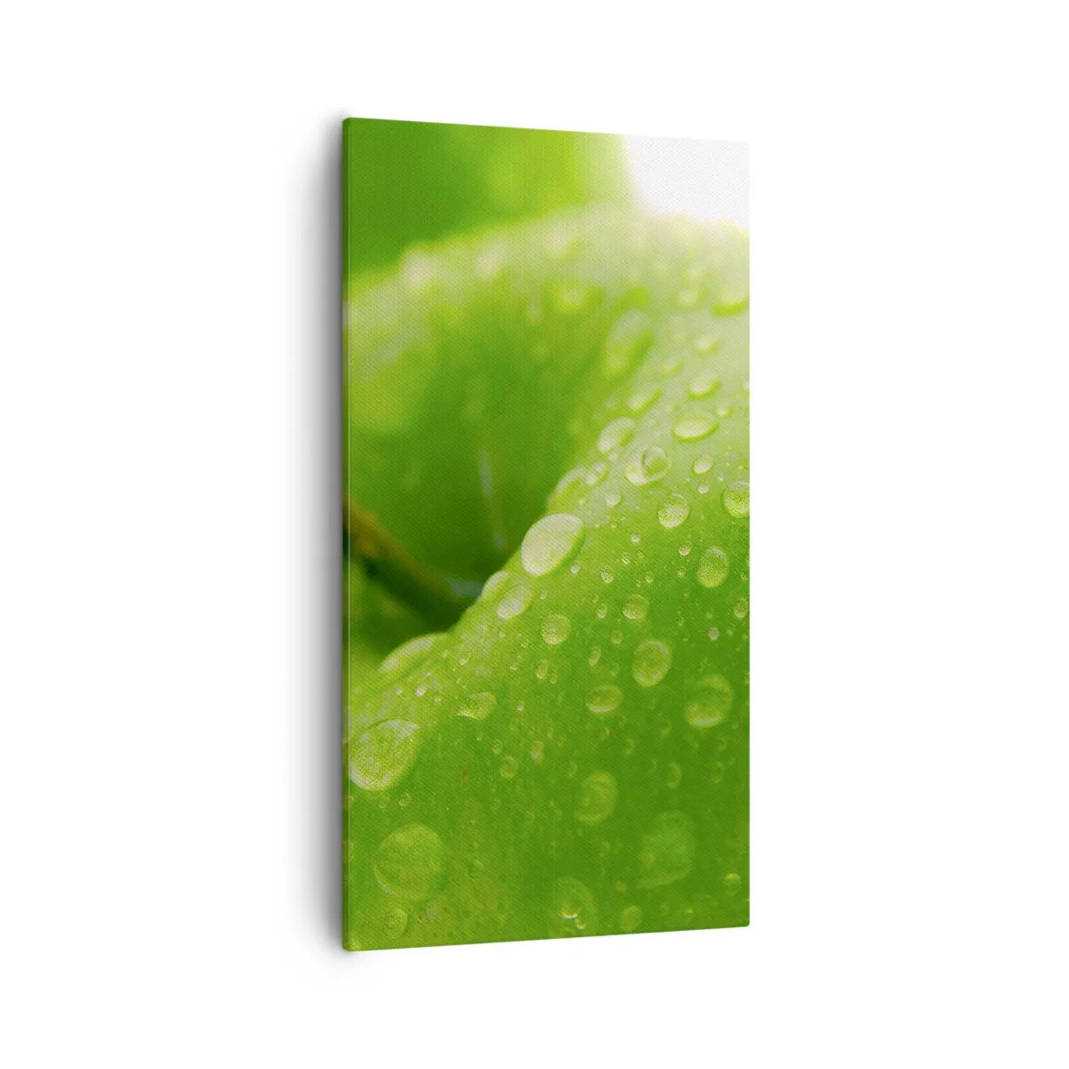 Canvas picture - Green, Cool Freshenss - 55x100 cm