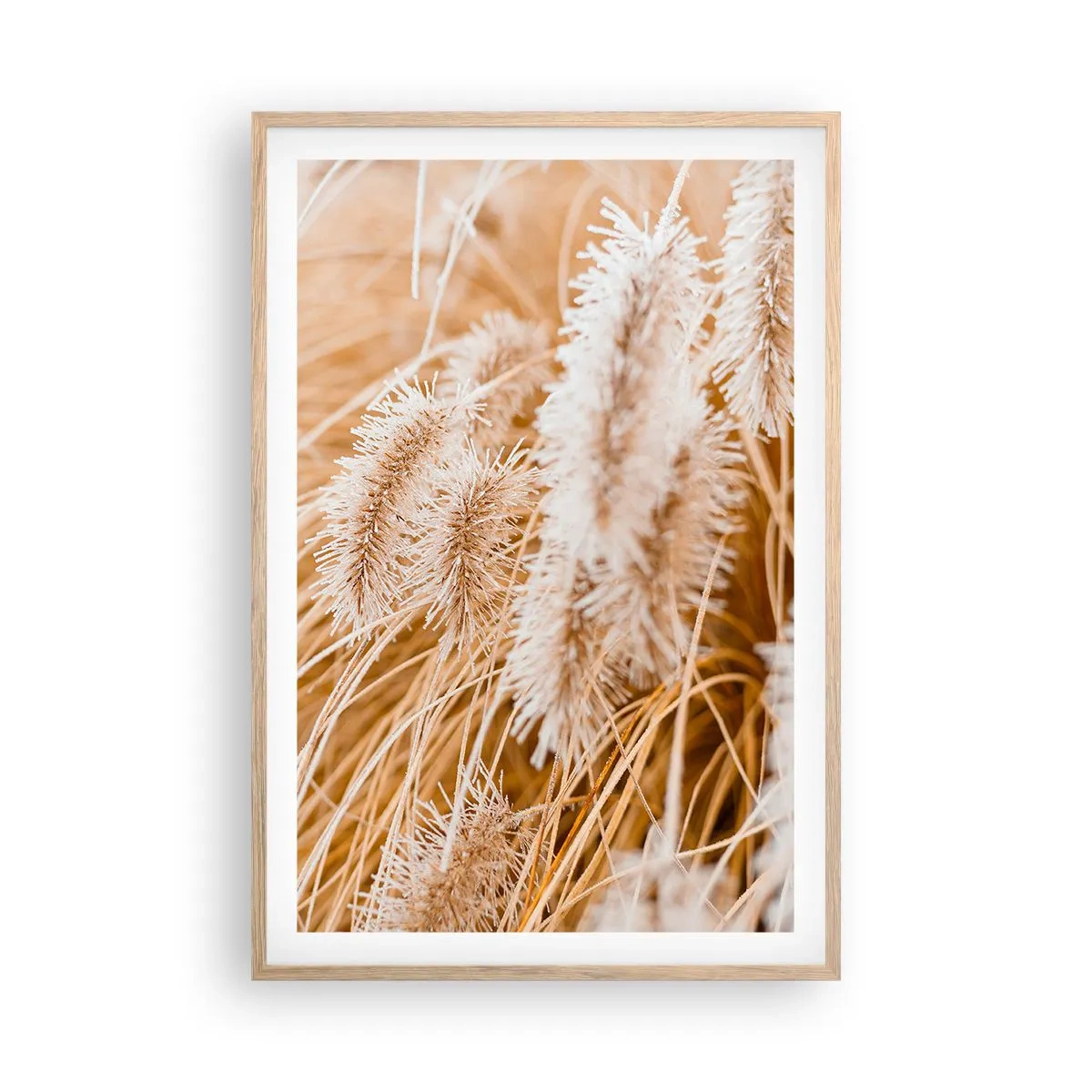 Poster in light oak frame - Golden Rustling of Grass - 61x91 cm