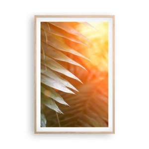 Poster in light oak frame - Morning in the Jungle - 61x91 cm