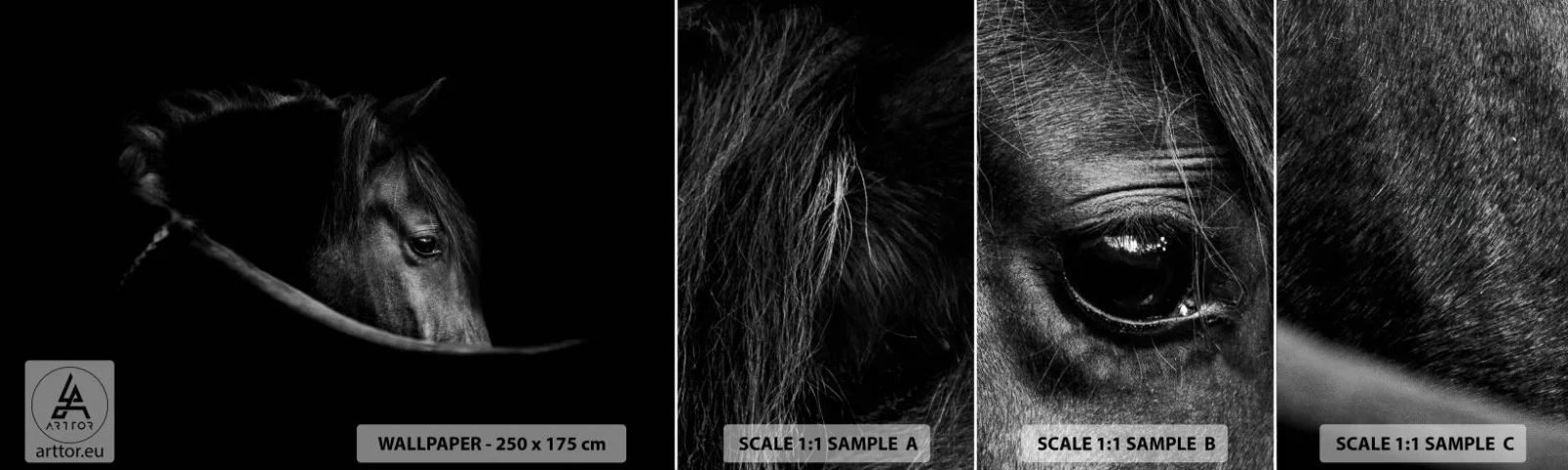 Photo Wallpaper Sample Standard Eco - Black Prince - Horse, Animal, Artistic - 100x30 cm
