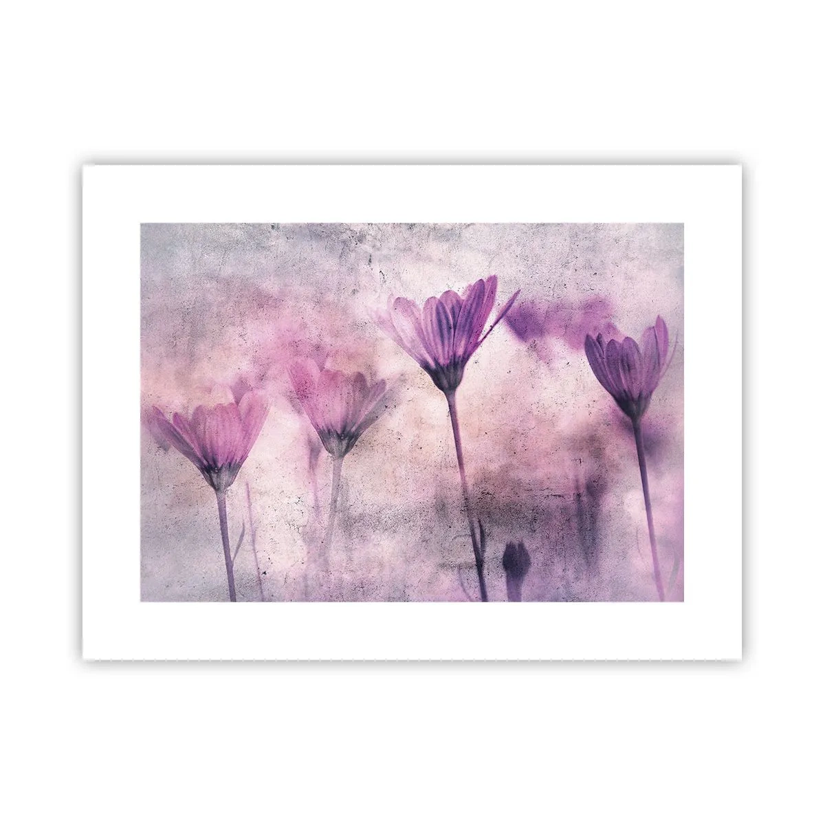 Poster - Dream of Flowers - 40x30 cm