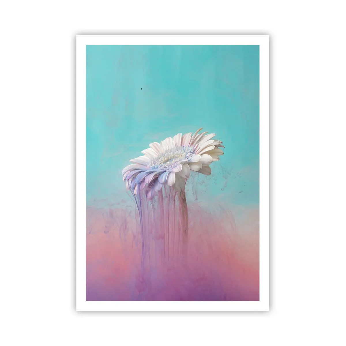 Poster - Afterlife of Flowers - 70x100 cm