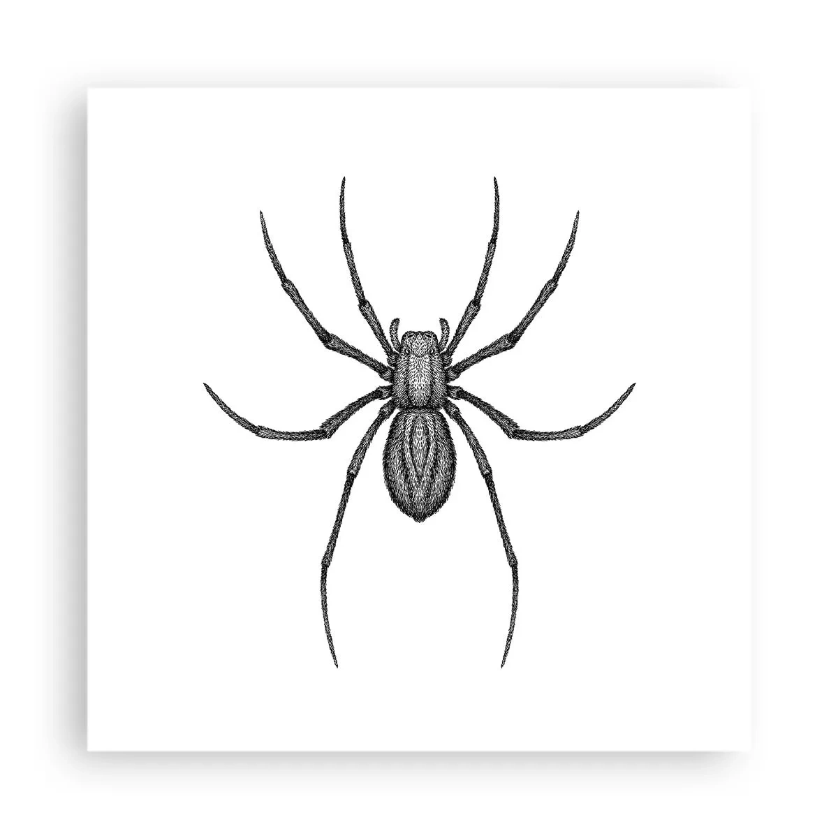 Poster - Disturbing Precision - 40x40 cm