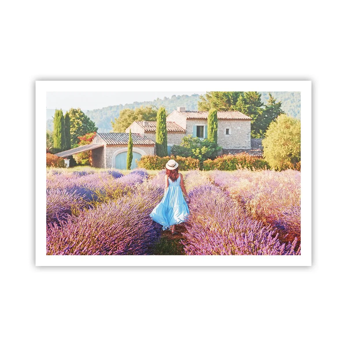 Poster - Lavender Girl - 91x61 cm