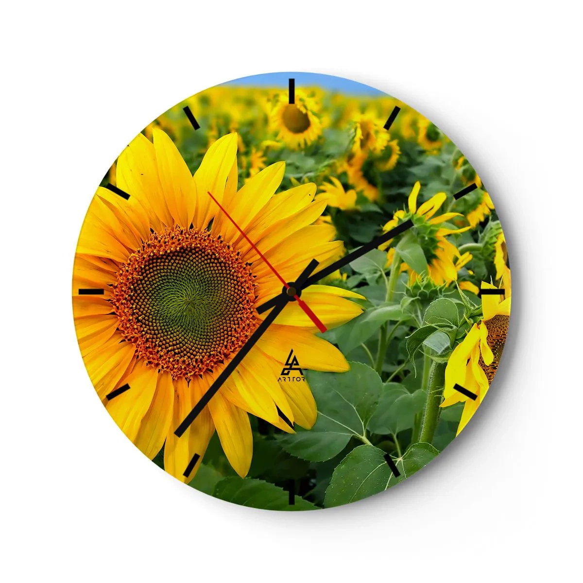 Wall clock - Clock on glass - field of sunflowers on a sunny day - 30x30cm - Hundreds of the Suns - Modern wall decoration for the living room, kitchen, and bedroom ARTTOR