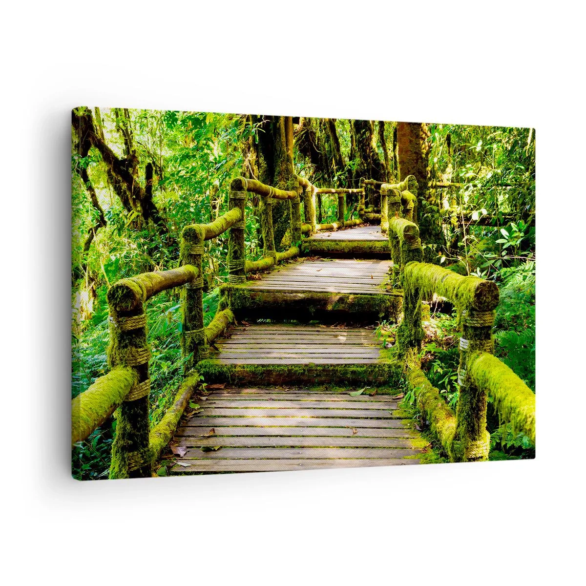 Canvas picture - A wooden bridge covered with moss in a tropical rainforest - 70x50cm - Down the Green Path - Modern wall decoration for the living room and bedroom ARTTOR