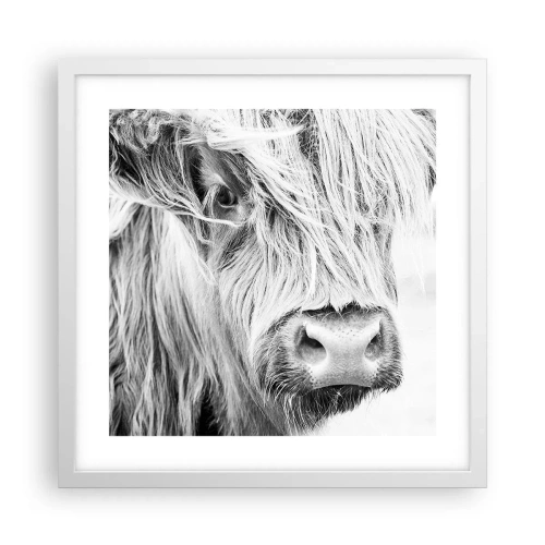 Poster in white frmae - Scottish Wilderness - 40x40 cm