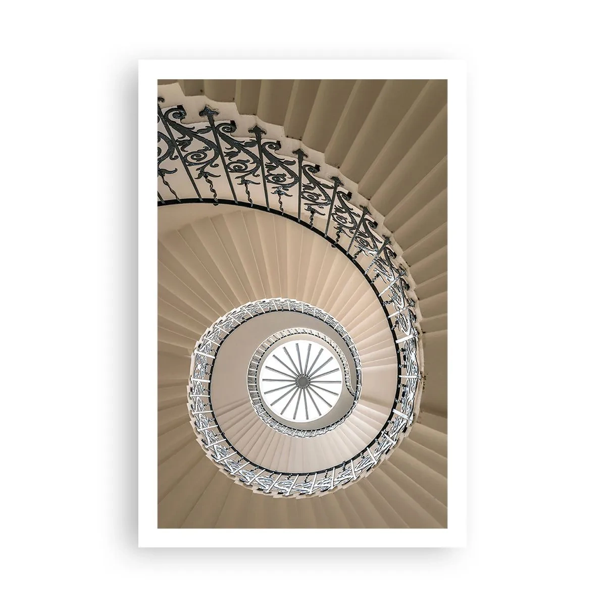 Poster - Inside the Shell - 61x91 cm