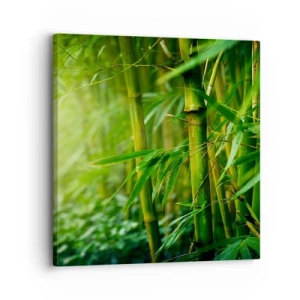 Canvas picture - Getting to Know the Green - 30x30 cm
