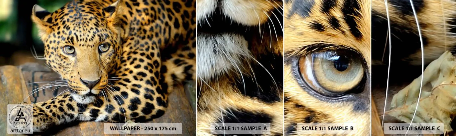 Photo Wallpaper Sample Self-Adhesive Deluxe Sticker - Don't be Shy, Come Closer - Animals, Panther, Wild cat - 100x30 cm
