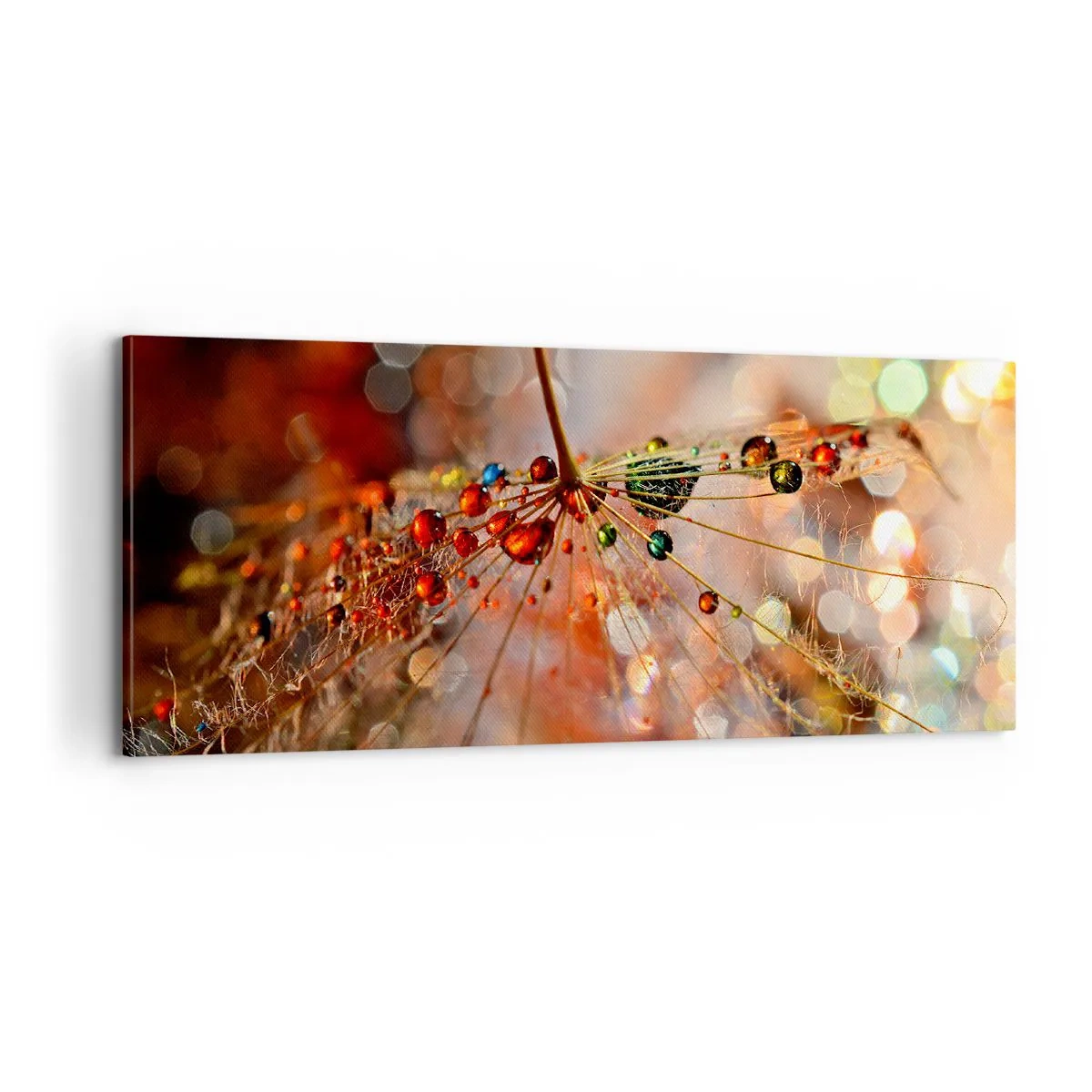 Canvas picture - Strung on a Spider's Web - 100x40 cm