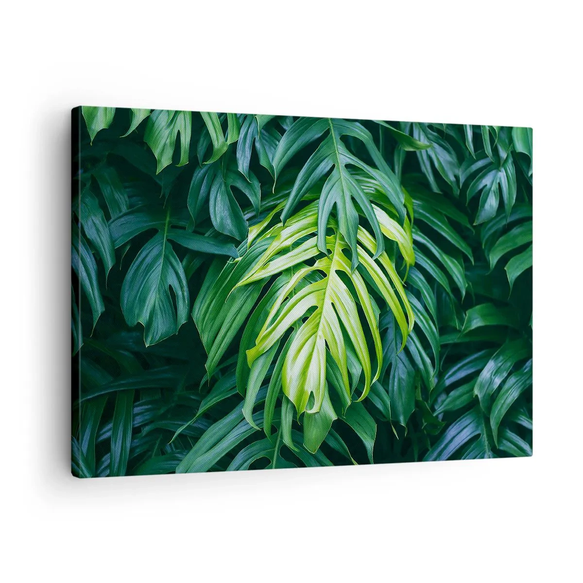 Canvas picture - Green leaves in a dense tropical arrangement - 70x50cm - Immerse Yourself in Freshness - Modern wall decoration for the living room and bedroom ARTTOR