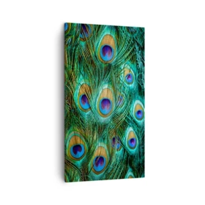 Canvas picture - Peacock Eyes - 45x80 cm