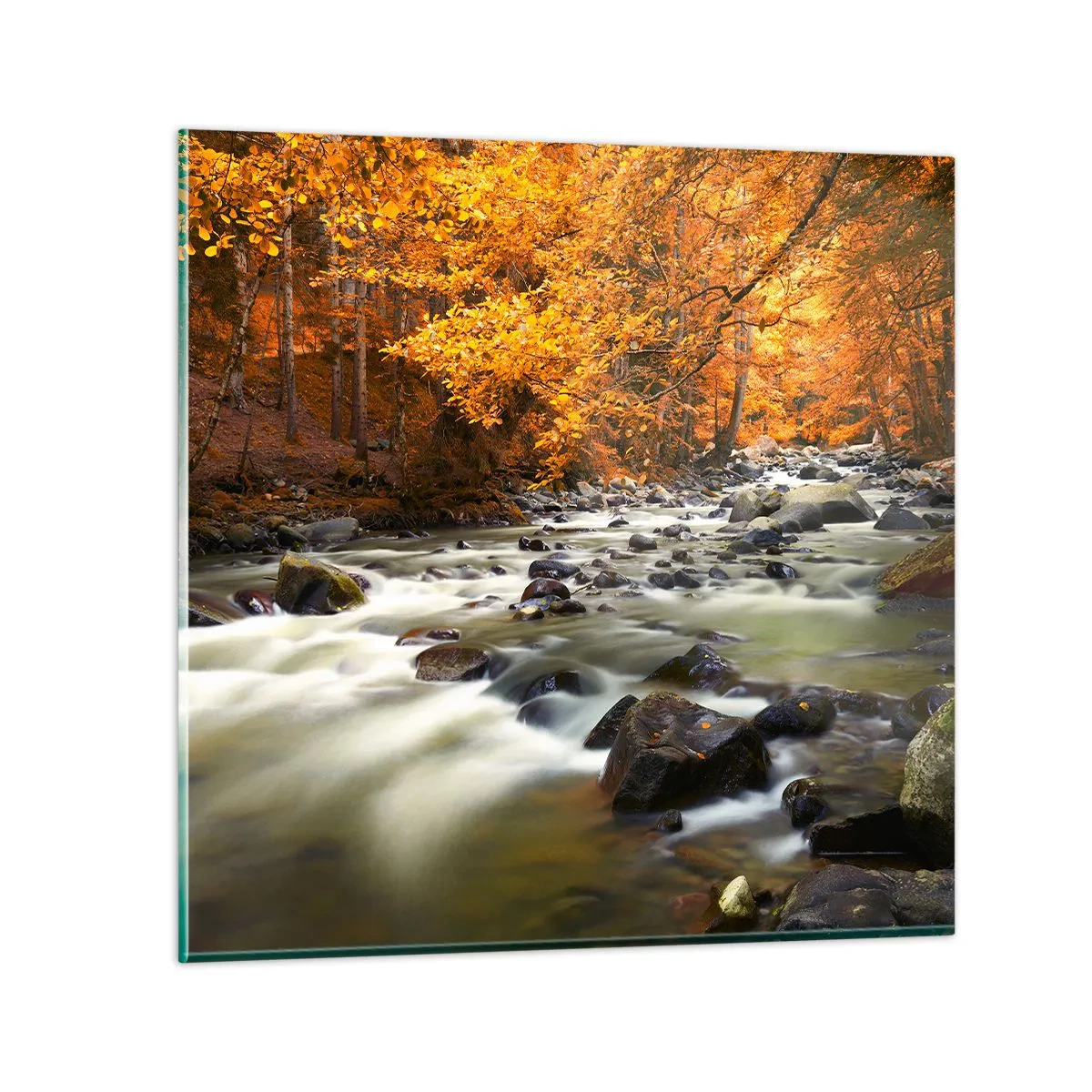 Glass picture - Brook in a Golden Forest - 40x40 cm
