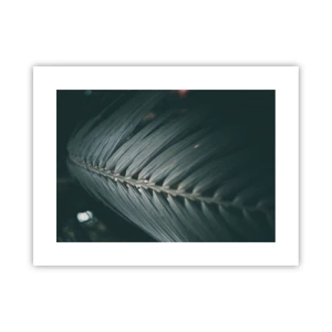 Poster - Precision of Nature - 40x30 cm