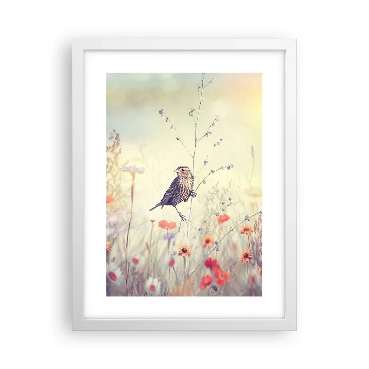 Poster in white frmae - Bird Portrait with a Meadow in the Background - 30x40 cm