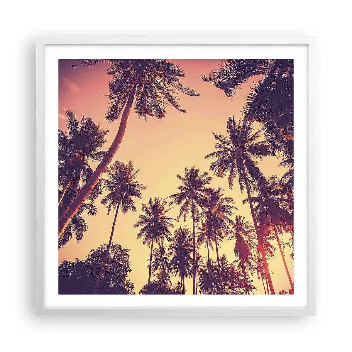 Poster in white frmae - Tropical Variation - 60x60 cm