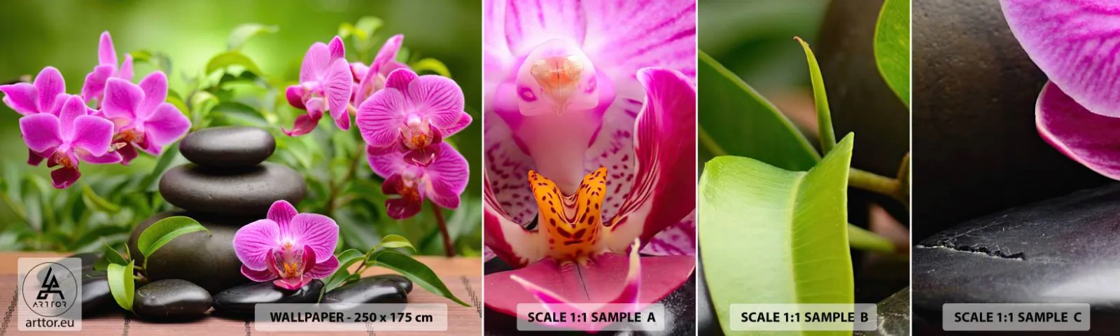 Photo Wallpaper Sample Standard Eco - Pyramid of Peace - Flowers, Orchid, Orchid - 100x30 cm