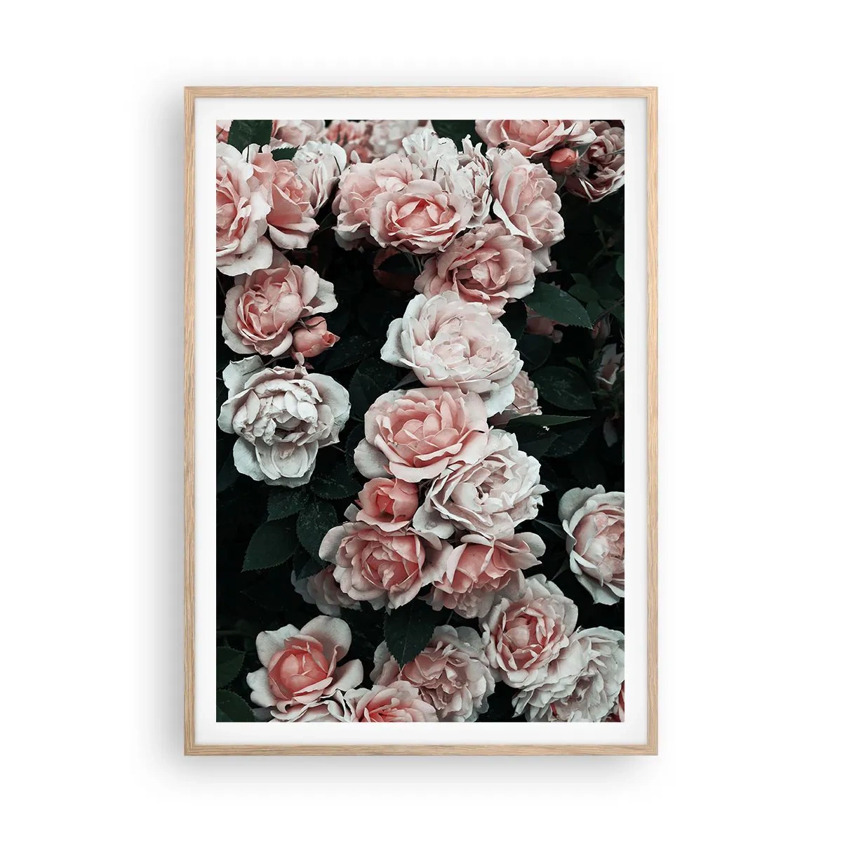 Poster in light oak frame - Rose Ensemble - 70x100 cm
