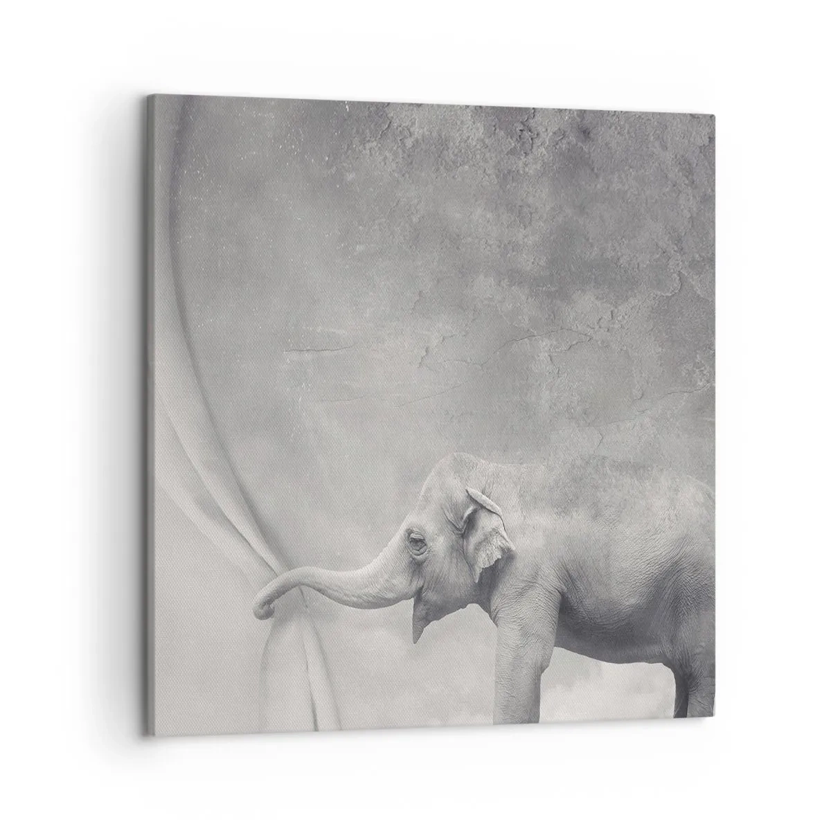 Canvas picture - Uncover the Secret - 50x50 cm