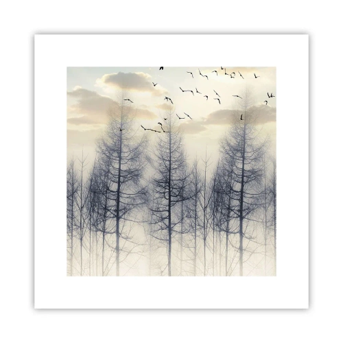 Poster - Spirits of the Forest - 30x30 cm