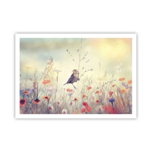 Poster - Bird Portrait with a Meadow in the Background - 100x70 cm